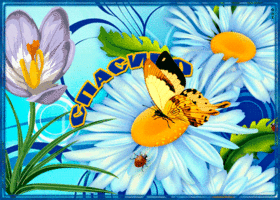 С цветами и словами благодарности