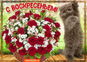 С Воскресеньем