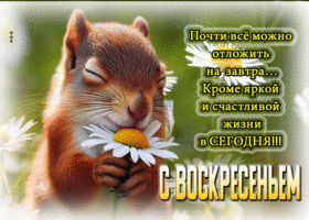 С воскресеньем! Живи яркой жизнью сегодня