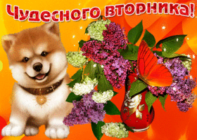 С вторником, прекрасного дня