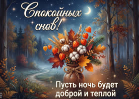 Самые лучшие пожелания для лучшего человека, спокойной ночи!