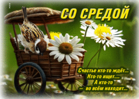 Счастье кто-то ждет,  кто-то ищет, а кто-то во всем находит