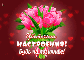 Счастливая гиф-открытка Цветочного настроения! Будь на позитиве