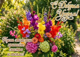 Счастья и тепла на всю неделю желаю я тебе