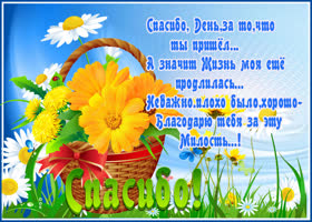 Сердечное спасибо а также цветы