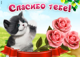 Сердечное спасибо всем