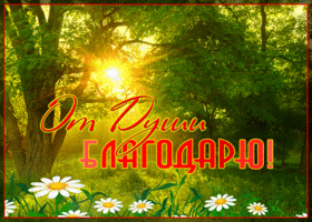 Сердечное вам всем спасибо