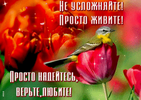 Шикарная открытка Просто надейтесь, верьте, любите!