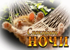 Шикарная открытка со спящим котенком Спокойной ночи