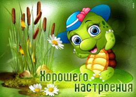 Симпатичная открытка с черепашкой Хорошего настроения