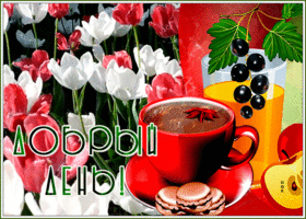 Симпатичная открытка с тюльпанами Добрый день!