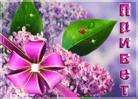 Сиреневый привет