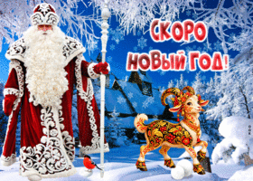 Скоро Новый год Козы. Радости и смеха всегда рядом