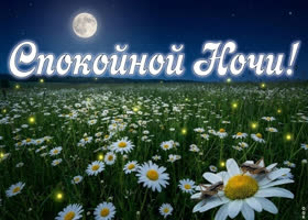 Сладких снов и тёплой, тихой ночи