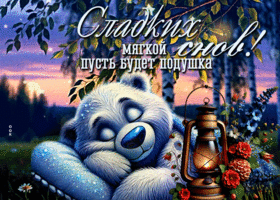 Сладких снов! Мягкой пусть будет подушка