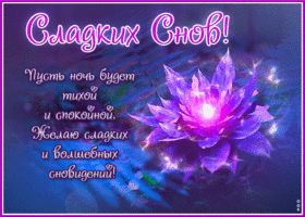 Сладких снов! Пусть ночь будет тихой и спокойной.