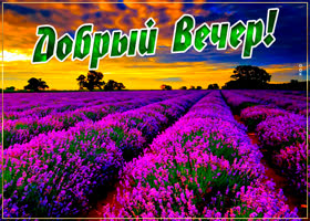 Славная картинка добрый вечер