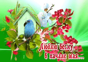 Смешная открытка люблю весну в начале мая