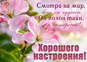 Смотри на мир, ведь он чудесен, он полон тайн, он интересен