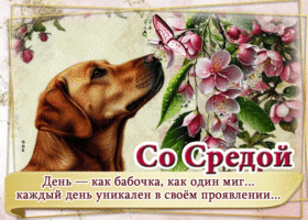 Со средой! День - как бабочка, как один миг