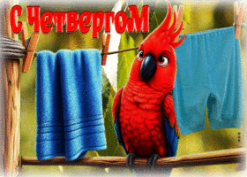 Сочная гиф-открытка С четвергом!