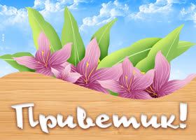 Солнечная открытка привет. Добрых мыслей всегда