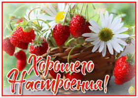 Солнечного настроения тебе мой милый друг
