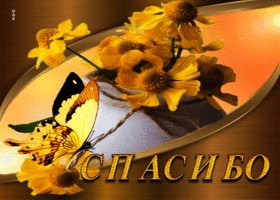 Солнечная и светлая открытка с бабочкой Спасибо