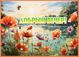 Солнечная и веселая открытка с маками Добрый вечер