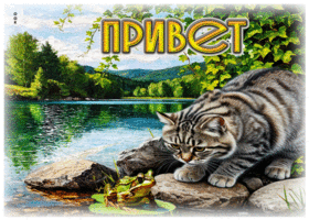Солнечная летняя гиф-открытка Привет