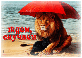 Солнечная лучистая летняя гиф-открытка Ждем, скучаем