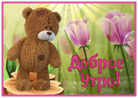Солнечная открытка с мишкой Доброе утро