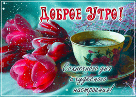 Солнечного дня и чудесного настроения! Доброе утро