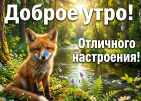 Солнечного настроения и счастья!