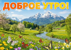 Солнечного утра и лёгких мыслей!