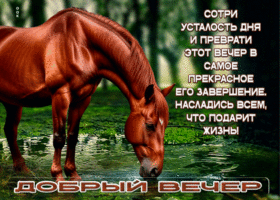 Сотри усталость и преврати этот вечер в самое прекрасное его завершение