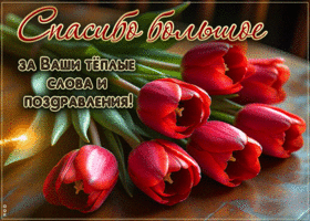 Спасибо большое за ваши теплые слова и поздравления
