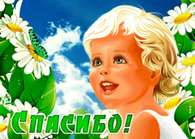 Спасибо от меня