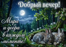 Спокойного вечера и хорошего отдыха
