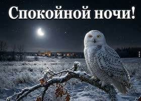 Спокойной ночи и прекрасного настроения до самого утра.