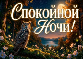 Спокойной ночи, отдыхай под звёздным небом