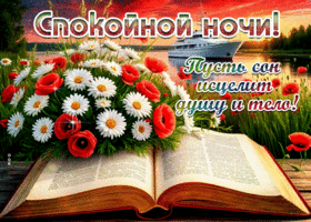 Спокойной ночи! Пусть сон исцелит душу и тело