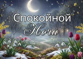 Спокойной ночи. Пусть весенний воздух наполнит сердце гармонией и свежими мечтами.