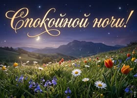 Спокойной ночи! Пусть завтра будет ещё лучше