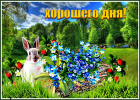 Супер картинка с зайцем Хорошего дня!