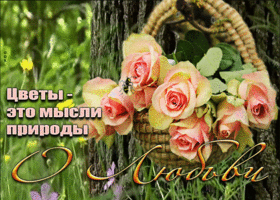 Супер открытка Цветы - это мысли природы о любви