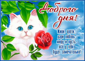 Супер открытка Доброго дня! Пусть все будет замечательно