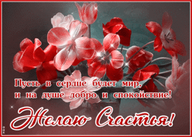 Супер открытка пусть в сердце будет мир, и на душе спокойствие