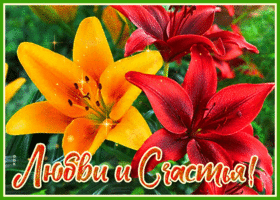 Супер открытка с цветами