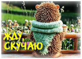 Светлая и уютная гиф-открытка Жду, скучаю